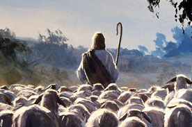 Pastor de ovelhas
