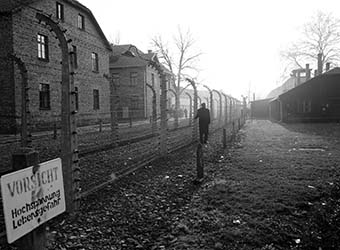 Auschwitz e a violência dos normais