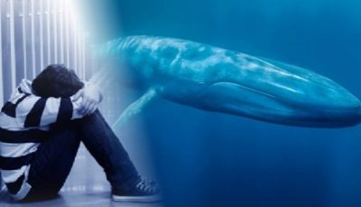 O desafio da Baleia Azul: O que os adolescentes suicidas podem nos ensinar?