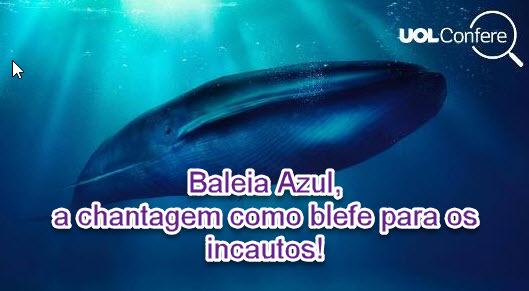 Baleia Azul: chantagem de administradores é blefe!