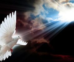 Tópicos sobre a deidade do Espírito Santo